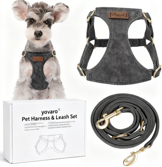 yovaro® Paw-some Trail Blazer Dog Harness & Leash Combo - Escape-Proof, Cloud-Soft Padded, Reflective No-Pull Harness for Small/Medium/Large Dogs | Ideal for Daily Walks, Hikes & City Adventures